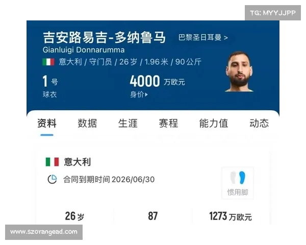 巴黎召开会议讨论多纳鲁马未来 切尔西对其表示浓厚兴趣 巴黎召开会议讨论多纳鲁马未来 切尔西对其表示浓厚兴趣